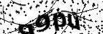 Captcha text