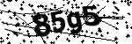 Captcha text